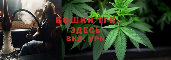 2c-b Новозыбков
