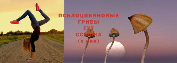 ECSTASY Абаза