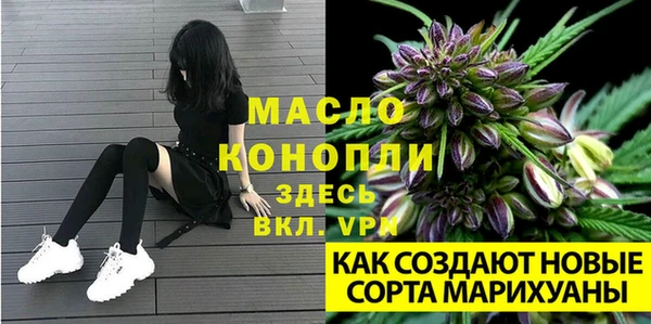ECSTASY Абаза
