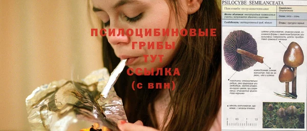 ECSTASY Абаза